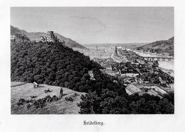 Heidelberg - Gesamtansicht mit Schloss. Originaler Stahlstich um 1880