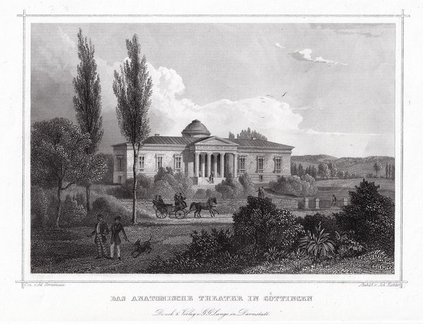 GÖTTINGEN: Das anatomische Theater. Originaler Stahlstich um 1850