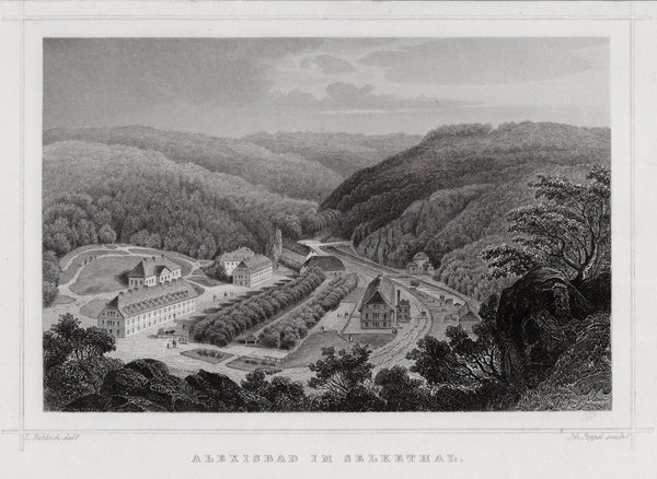 Alexisbad  im Selkethal, Originaler Stahlstich, Poppel um 1850