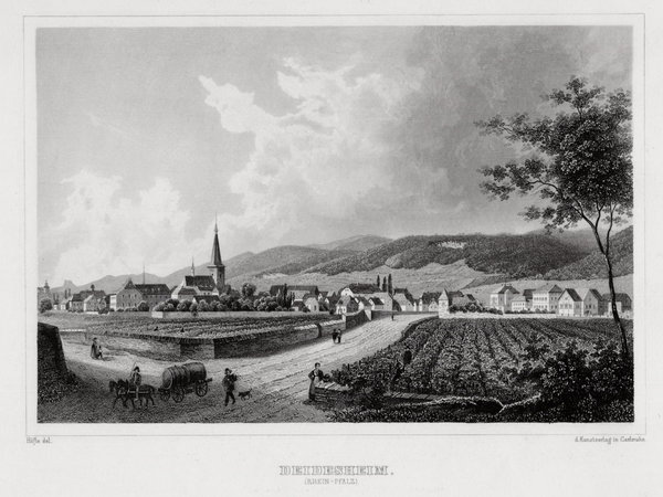 Deidesheim. Gesamtansicht. Original Stahlstich Hofke um 1850