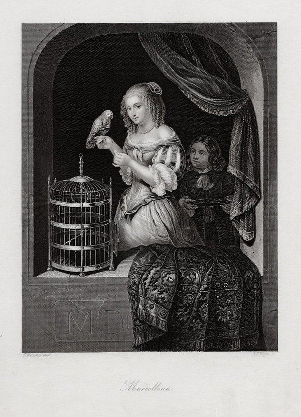 Marcellina. Dame mit Papagei. Originaler Stahlstich, Payne um 1850